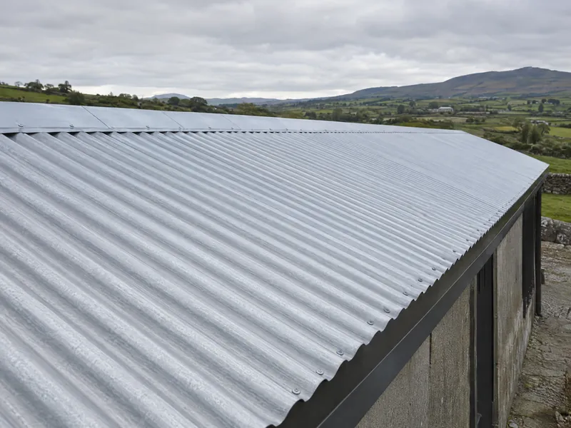 A galvanised corrugated roof