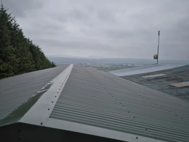 A dark green box profile roof