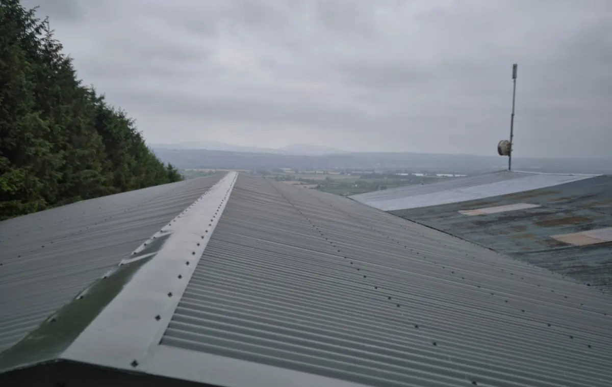 A dark green box profile roof
